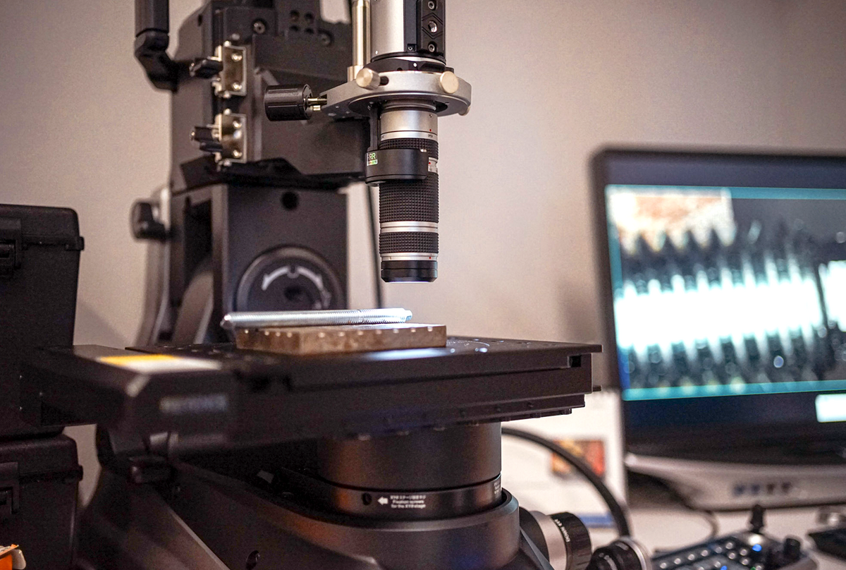 Rawlplug mikropasaulis. Matome net tai, kas nematoma.