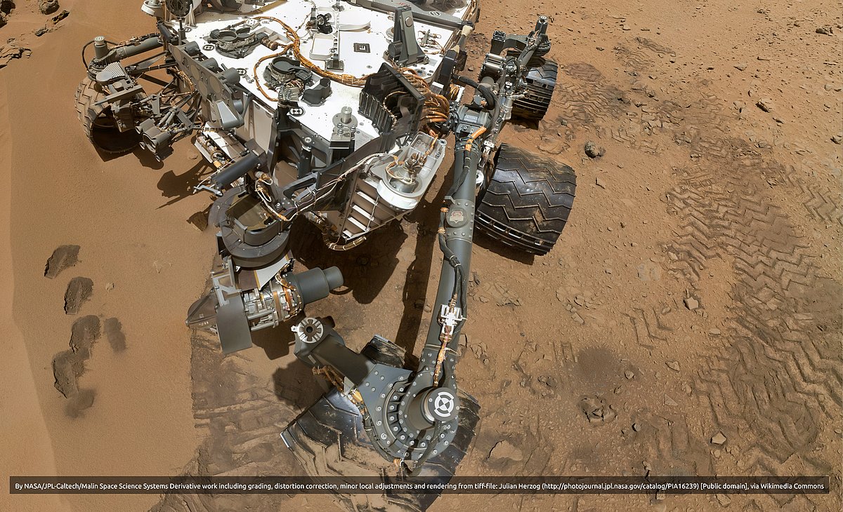 Smalsumas (marsaeigis)