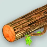 Šakos